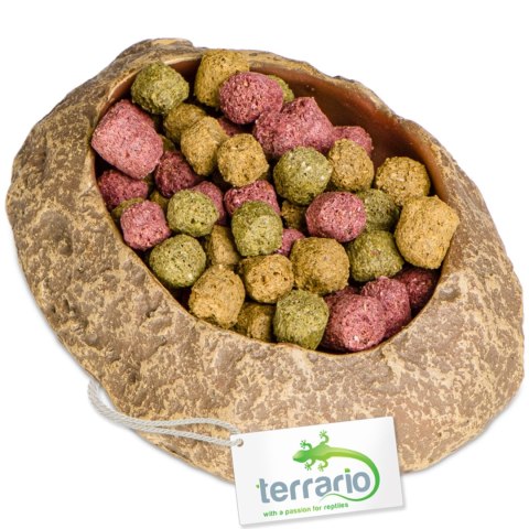 Terrario Rock Oasis XS - Miska do Terrarium 5,5x4x1 cm Terrario Rock Oasis XS - Miska do Terrarium 5,5x4x1 cm