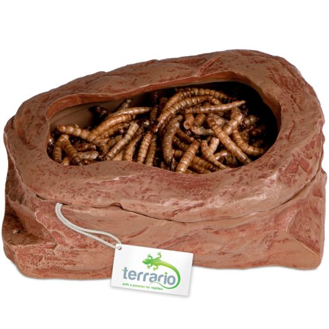 Terrario SplitRock Smart Bowl - miska do karmienia żywym pokarmem 11x9x4 cm Terrario SplitRock Smart Bowl - miska do karmienia żywym pokarmem 11x9x4 cm
