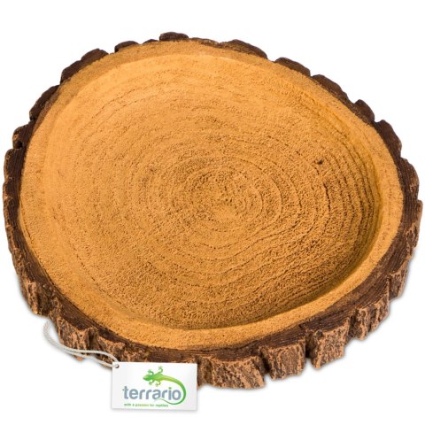 Terrario Tree Ring Bowl M - Miska do Terrarium 12x11x1,5 cm Terrario Tree Ring Bowl M - Miska do Terrarium 12x11x1,5 cm