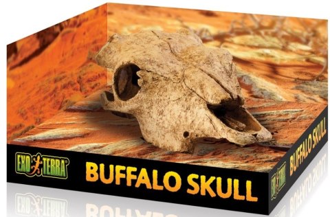 EXO TERRA Buffalo Skull (czaszka bawoła) EXO TERRA Buffalo Skull (czaszka bawoła)