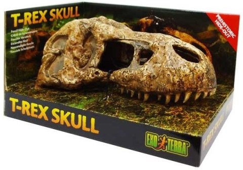 EXO TERRA T-Rex skull (czaszka dinozaura) EXO TERRA T-Rex skull (czaszka dinozaura)