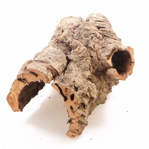 Kora z Dębu Korkowego - na wagę Kora z Dębu Korkowego - na wagę
