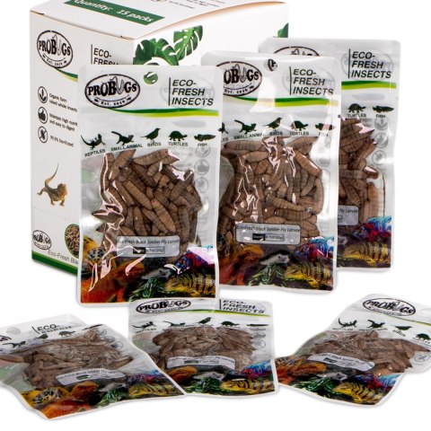 ProBugs Eco-Fresh Black Solider Fly Larvae 15 x 20g - świeże larwy muchy czarnej 15 saszetek ProBugs Eco-Fresh Black Solider Fly Larvae 15 x 20g - świeże larwy muchy czarnej 15 saszetek