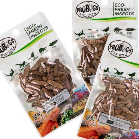 ProBugs Eco-Fresh Black Solider Fly Larvae 15 x 20g - świeże larwy muchy czarnej 15 saszetek ProBugs Eco-Fresh Black Solider Fly Larvae 15 x 20g - świeże larwy muchy czarnej 15 saszetek