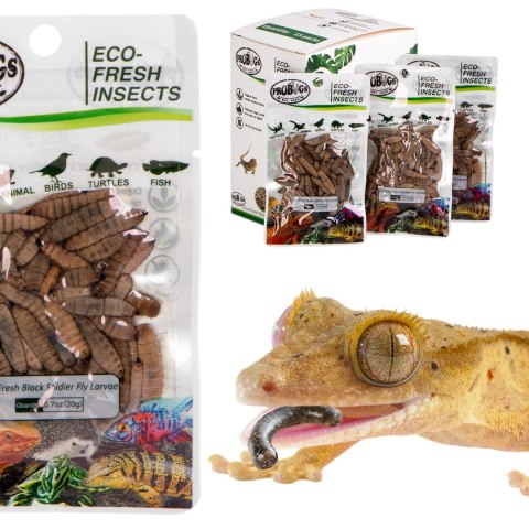 ProBugs Eco-Fresh Black Solider Fly Larvae 15 x 20g - świeże larwy muchy czarnej 15 saszetek ProBugs Eco-Fresh Black Solider Fly Larvae 15 x 20g - świeże larwy muchy czarnej 15 saszetek