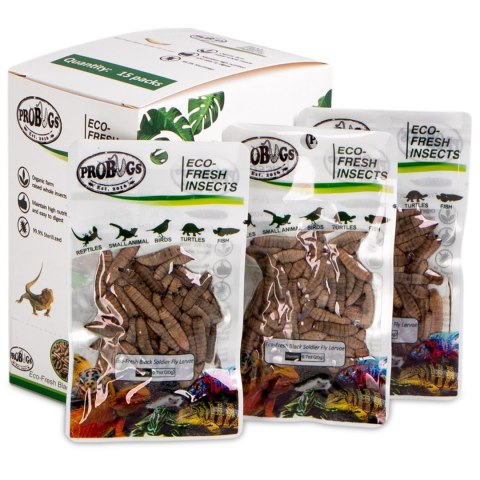 ProBugs Eco-Fresh Black Solider Fly Larvae 20g - świeże larwy muchy czarnej ProBugs Eco-Fresh Black Solider Fly Larvae 20g - świeże larwy muchy czarnej