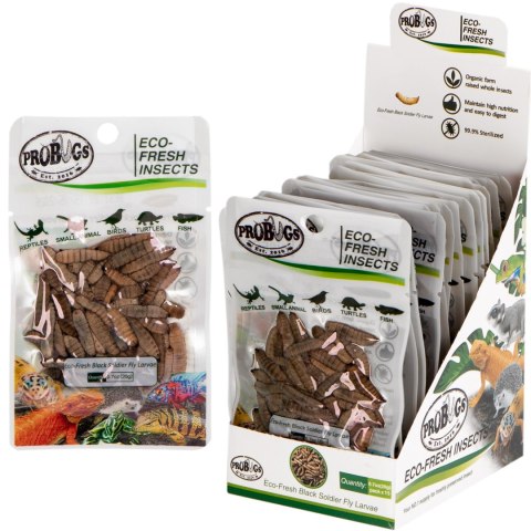 ProBugs Eco-Fresh Black Solider Fly Larvae 20g - świeże larwy muchy czarnej ProBugs Eco-Fresh Black Solider Fly Larvae 20g - świeże larwy muchy czarnej