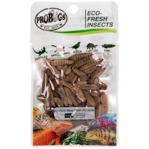 ProBugs Eco-Fresh Black Solider Fly Larvae 20g - świeże larwy muchy czarnej ProBugs Eco-Fresh Black Solider Fly Larvae 20g - świeże larwy muchy czarnej