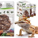 ProBugs Eco-Fresh Cricket 15 x 6g - świeże świerszcze 15 saszetek