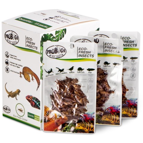 ProBugs Eco-Fresh Cricket 6g - świeże świerszcze ProBugs Eco-Fresh Cricket 6g - świeże świerszcze