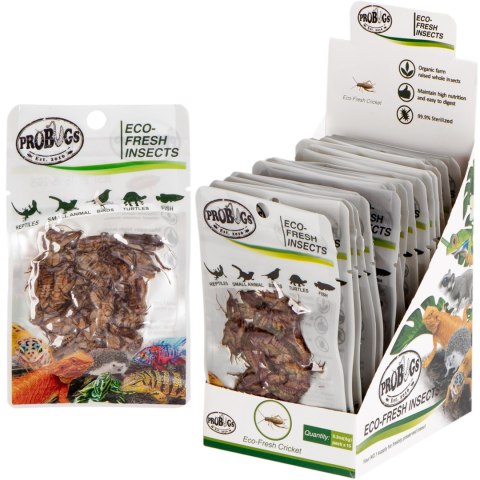 ProBugs Eco-Fresh Cricket 6g - świeże świerszcze ProBugs Eco-Fresh Cricket 6g - świeże świerszcze