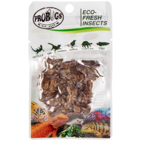 ProBugs Eco-Fresh Cricket 6g - świeże świerszcze ProBugs Eco-Fresh Cricket 6g - świeże świerszcze