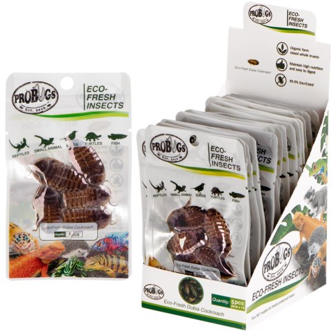 ProBugs Eco-Fresh Dubia Cockroach 15 x 5pcs - świeże karaczany argentyńskie 15 saszetek ProBugs Eco-Fresh Dubia Cockroach 15 x 5pcs - świeże karaczany argentyńskie 15 saszetek