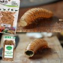 ProBugs Eco-Fresh Dubia Cockroach 15 x 5pcs - świeże karaczany argentyńskie 15 saszetek