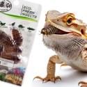 ProBugs Eco-Fresh Dubia Cockroach 15 x 5pcs - świeże karaczany argentyńskie 15 saszetek
