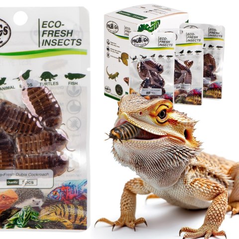 ProBugs Eco-Fresh Dubia Cockroach 15 x 5pcs - świeże karaczany argentyńskie 15 saszetek ProBugs Eco-Fresh Dubia Cockroach 15 x 5pcs - świeże karaczany argentyńskie 15 saszetek