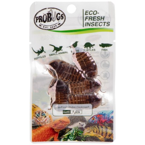 ProBugs Eco-Fresh Dubia Cockroach 15 x 5pcs - świeże karaczany argentyńskie 15 saszetek ProBugs Eco-Fresh Dubia Cockroach 15 x 5pcs - świeże karaczany argentyńskie 15 saszetek