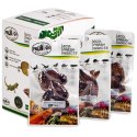 ProBugs Eco-Fresh Dubia Cockroach 5pcs - świeże karaczany argentyńskie