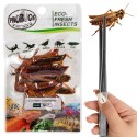 ProBugs Eco-Fresh Grasshopper 15 x 8pcs - świeże koniki polne 15 saszetek