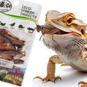 ProBugs Eco-Fresh Grasshopper 15 x 8pcs - świeże koniki polne 15 saszetek