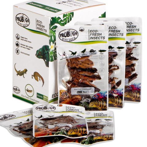 ProBugs Eco-Fresh Grasshopper 8pcs - świeże koniki polne ProBugs Eco-Fresh Grasshopper 8pcs - świeże koniki polne