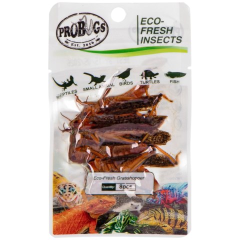 ProBugs Eco-Fresh Grasshopper 8pcs - świeże koniki polne ProBugs Eco-Fresh Grasshopper 8pcs - świeże koniki polne