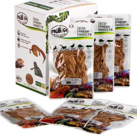 ProBugs Eco-Fresh Mealworm 15 x 20g - świeże larwy mącznika 15 saszetek ProBugs Eco-Fresh Mealworm 15 x 20g - świeże larwy mącznika 15 saszetek