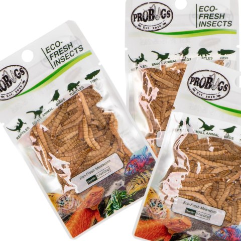 ProBugs Eco-Fresh Mealworm 15 x 20g - świeże larwy mącznika 15 saszetek ProBugs Eco-Fresh Mealworm 15 x 20g - świeże larwy mącznika 15 saszetek