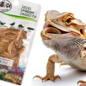 ProBugs Eco-Fresh Mealworm 15 x 20g - świeże larwy mącznika 15 saszetek