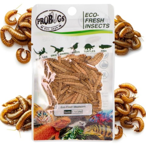 ProBugs Eco-Fresh Mealworm 15 x 20g - świeże larwy mącznika 15 saszetek ProBugs Eco-Fresh Mealworm 15 x 20g - świeże larwy mącznika 15 saszetek