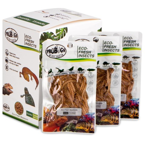 ProBugs Eco-Fresh Mealworm 15 x 20g - świeże larwy mącznika 15 saszetek ProBugs Eco-Fresh Mealworm 15 x 20g - świeże larwy mącznika 15 saszetek