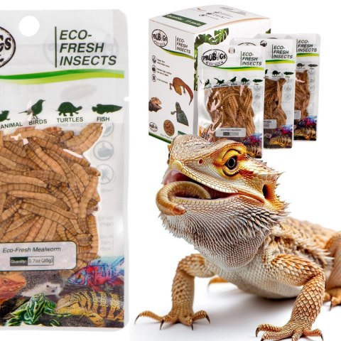ProBugs Eco-Fresh Mealworm 15 x 20g - świeże larwy mącznika 15 saszetek ProBugs Eco-Fresh Mealworm 15 x 20g - świeże larwy mącznika 15 saszetek