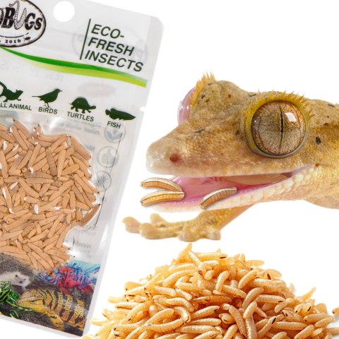 ProBugs Eco-Fresh Riceworm 15 x 15g - świeże larwy muchy 15 szaszetek ProBugs Eco-Fresh Riceworm 15 x 15g - świeże larwy muchy 15 szaszetek