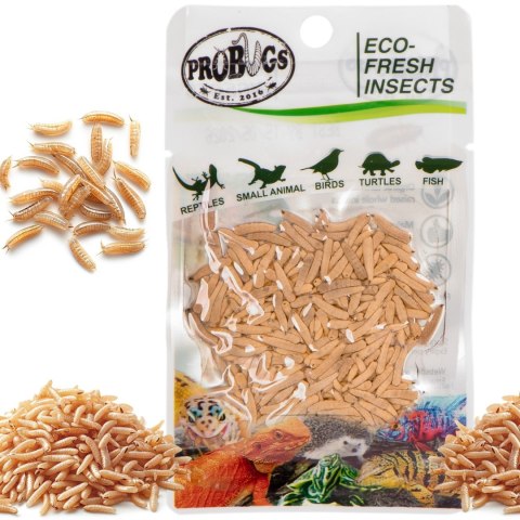 ProBugs Eco-Fresh Riceworm 15g - świeże larwy muchy ProBugs Eco-Fresh Riceworm 15g - świeże larwy muchy