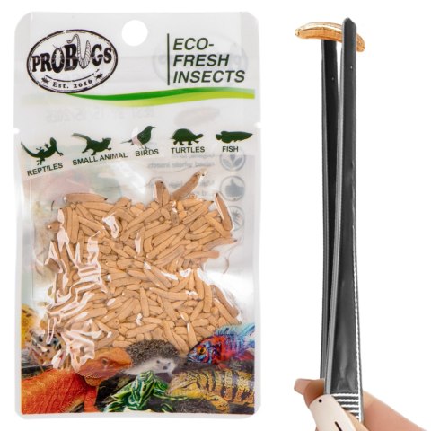 ProBugs Eco-Fresh Riceworm 15g - świeże larwy muchy ProBugs Eco-Fresh Riceworm 15g - świeże larwy muchy