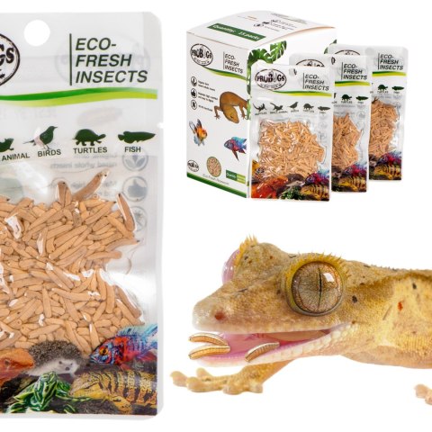 ProBugs Eco-Fresh Riceworm 15g - świeże larwy muchy ProBugs Eco-Fresh Riceworm 15g - świeże larwy muchy
