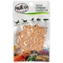 ProBugs Eco-Fresh Riceworm 15g - świeże larwy muchy