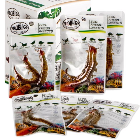 ProBugs Eco-Fresh Scolopendra Centipede 15 x 2pcs - świeże skolopendry 15 saszetek ProBugs Eco-Fresh Scolopendra Centipede 15 x 2pcs - świeże skolopendry 15 saszetek