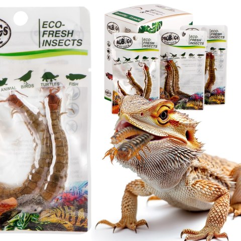 ProBugs Eco-Fresh Scolopendra Centipede 15 x 2pcs - świeże skolopendry 15 saszetek ProBugs Eco-Fresh Scolopendra Centipede 15 x 2pcs - świeże skolopendry 15 saszetek