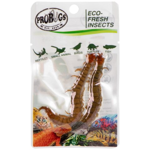 ProBugs Eco-Fresh Scolopendra Centipede 15 x 2pcs - świeże skolopendry 15 saszetek ProBugs Eco-Fresh Scolopendra Centipede 15 x 2pcs - świeże skolopendry 15 saszetek