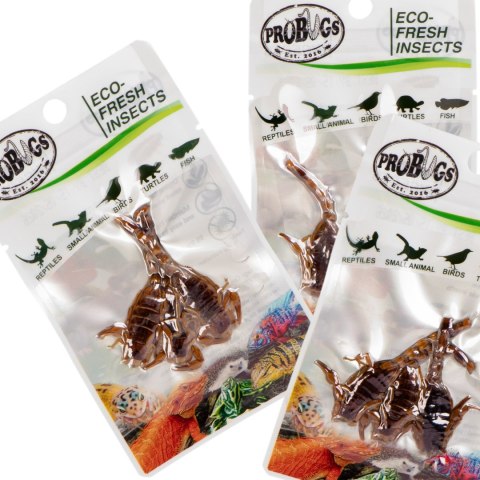 ProBugs Eco-Fresh Scorpion 15 x 3pcs - świeże skorpiony 15 saszetek ProBugs Eco-Fresh Scorpion 15 x 3pcs - świeże skorpiony 15 saszetek