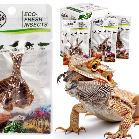 ProBugs Eco-Fresh Scorpion 15 x 3pcs - świeże skorpiony 15 saszetek ProBugs Eco-Fresh Scorpion 15 x 3pcs - świeże skorpiony 15 saszetek