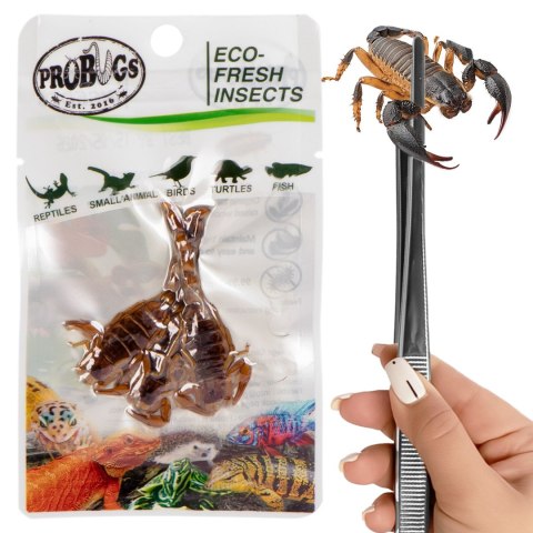 ProBugs Eco-Fresh Scorpion 15 x 3pcs - świeże skorpiony 15 saszetek ProBugs Eco-Fresh Scorpion 15 x 3pcs - świeże skorpiony 15 saszetek