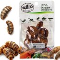 ProBugs Eco-Fresh Silkworm 15 x 15g - świeże larwy jedwabnika 15 saszetek