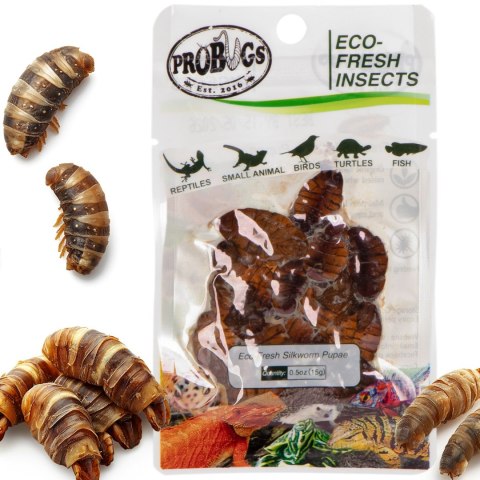 ProBugs Eco-Fresh Silkworm 15 x 15g - świeże larwy jedwabnika 15 saszetek ProBugs Eco-Fresh Silkworm 15 x 15g - świeże larwy jedwabnika 15 saszetek