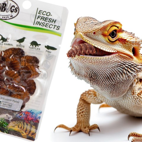 ProBugs Eco-Fresh Silkworm 15 x 15g - świeże larwy jedwabnika 15 saszetek ProBugs Eco-Fresh Silkworm 15 x 15g - świeże larwy jedwabnika 15 saszetek
