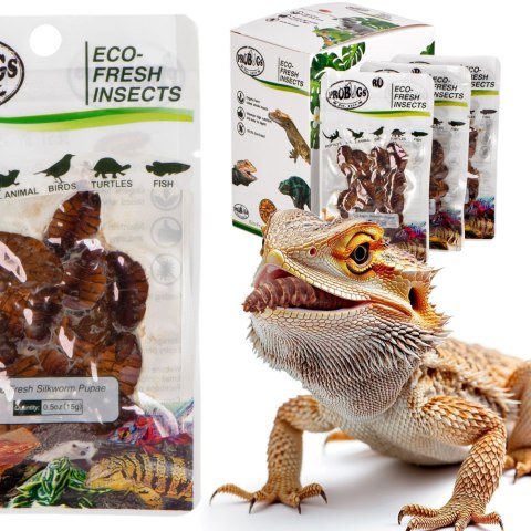 ProBugs Eco-Fresh Silkworm 15 x 15g - świeże larwy jedwabnika 15 saszetek ProBugs Eco-Fresh Silkworm 15 x 15g - świeże larwy jedwabnika 15 saszetek