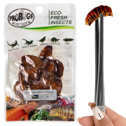 ProBugs Eco-Fresh Silkworm 15g - świeże larwy jedwabnika ProBugs Eco-Fresh Silkworm 15g - świeże larwy jedwabnika