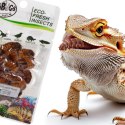 ProBugs Eco-Fresh Silkworm 15g - świeże larwy jedwabnika