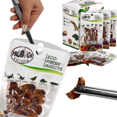 ProBugs Eco-Fresh Silkworm 15g - świeże larwy jedwabnika ProBugs Eco-Fresh Silkworm 15g - świeże larwy jedwabnika